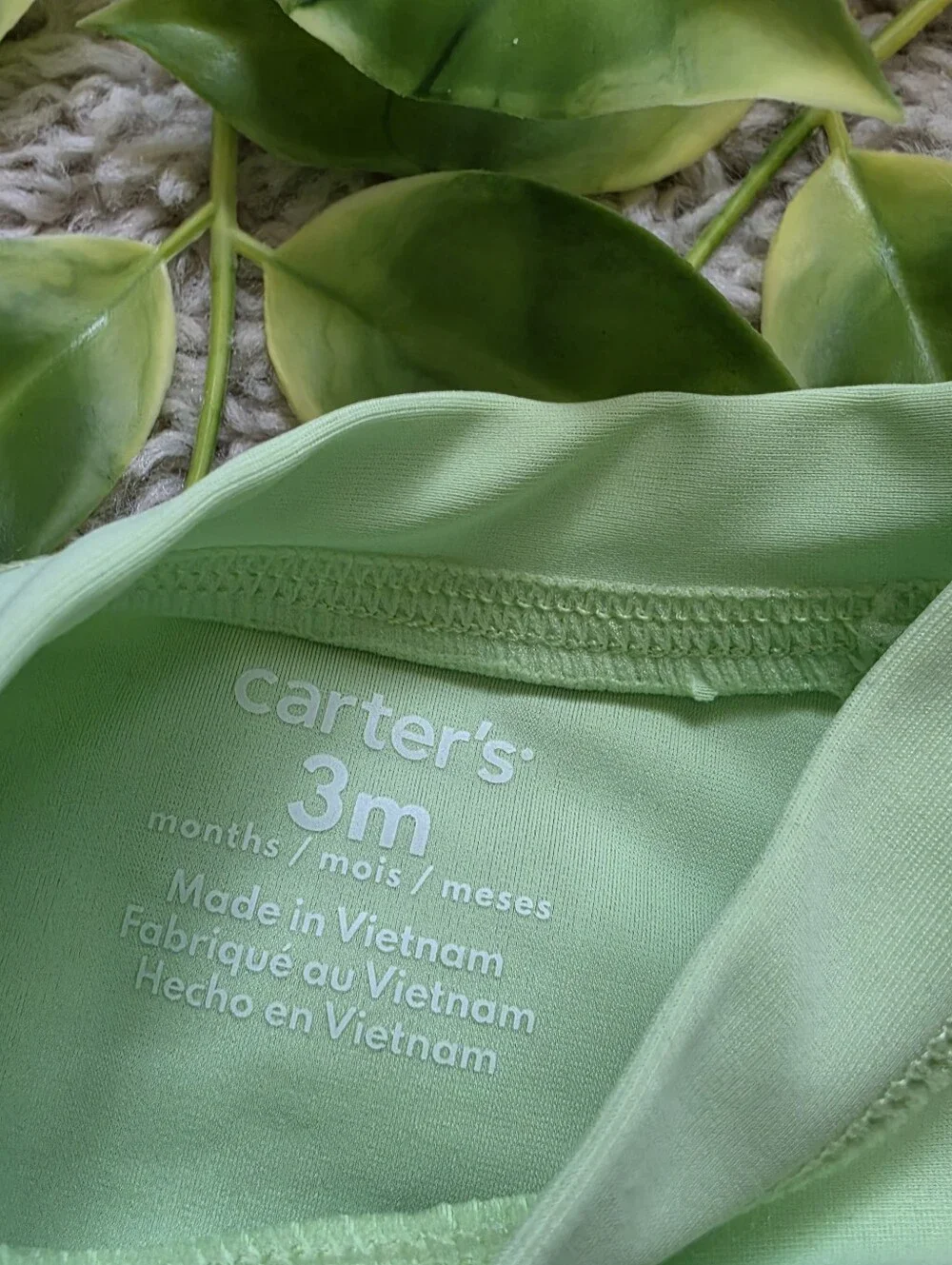 Chameleon Swimsuit Set (0-3 Months)